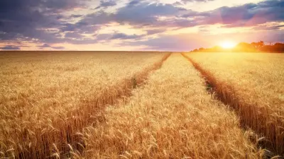 Фермеры десяти аулов Туркестанской области жалуются на нехватку поливной воды