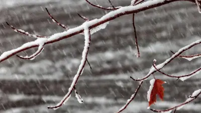 Метель и туманы: неустойчивая погода сохраняется в Казахстане