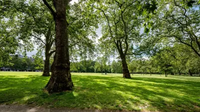 Незаконно выданные участки возле Парка ветеранов в Талдыкоргане вернули государству