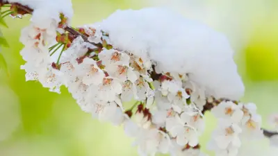 Неустойчивую погоду прогнозируют в праздничные выходные в Казахстане