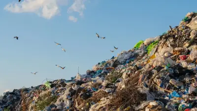 Чиновников наказали за стихийные свалки в Алматы