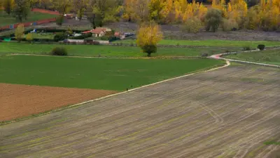 Изъяли землю без выплаты компенсации: житель Шымкента отсудил у акимата 83 млн тенге