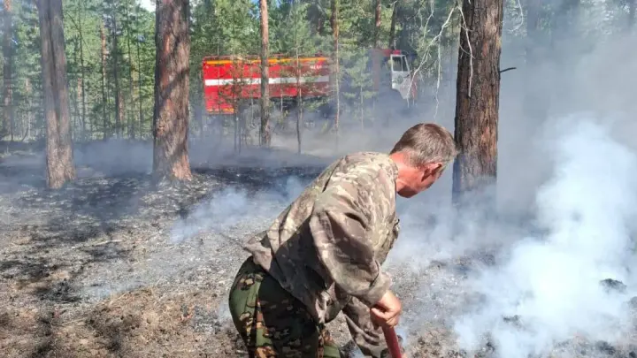 Ещё два пожара вспыхнули в резервате "Семей Орманы"