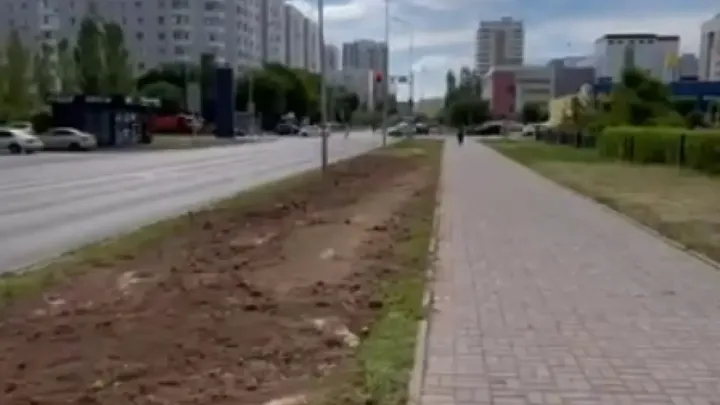 Пропажу деревьев на одной из улиц Астаны объяснили в акимате