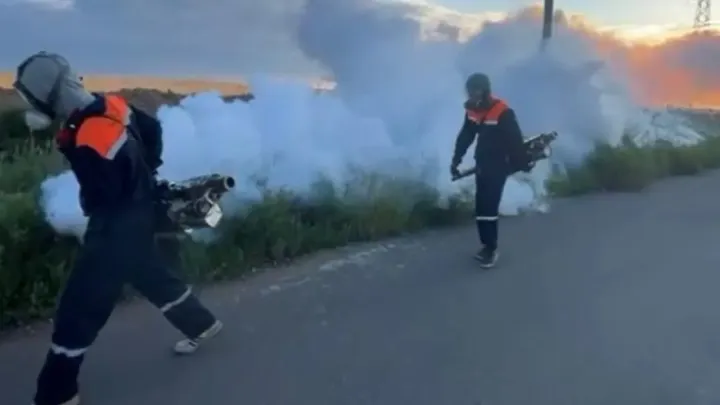 Борьба с комарами и мошками в Астане: горожанам рекомендуют закрывать окна при обработке