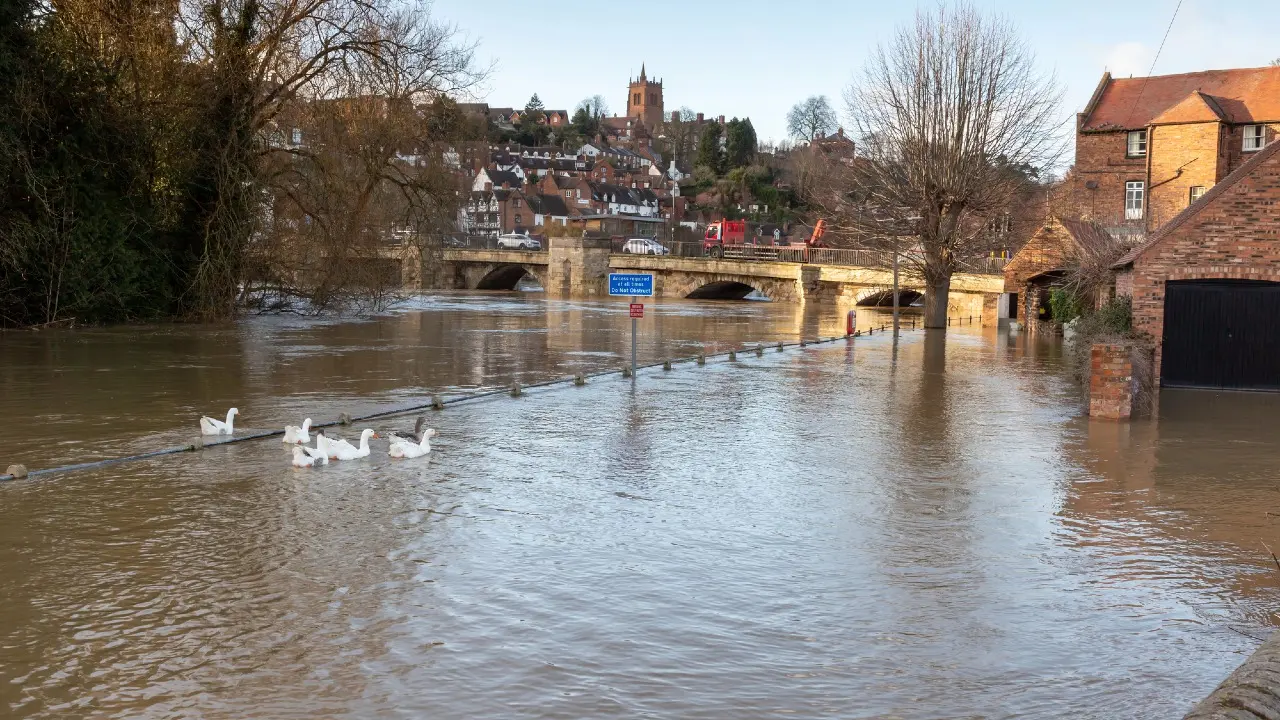 Фото Depositphotos.com