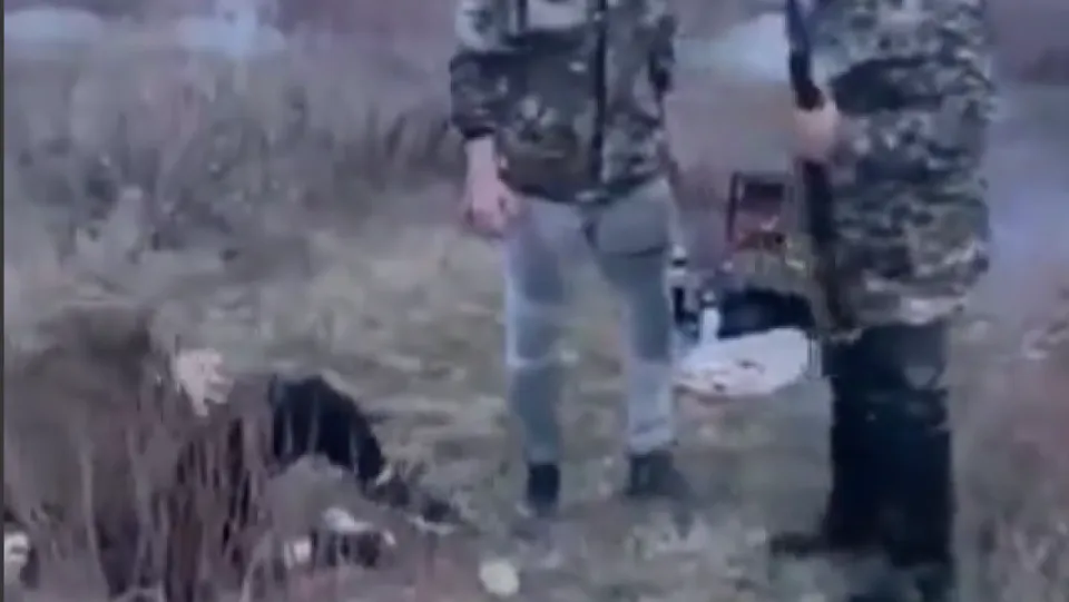 Кадр из видео 