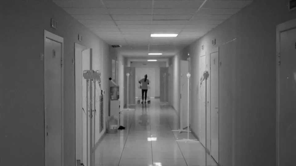 Фото Pexels.com