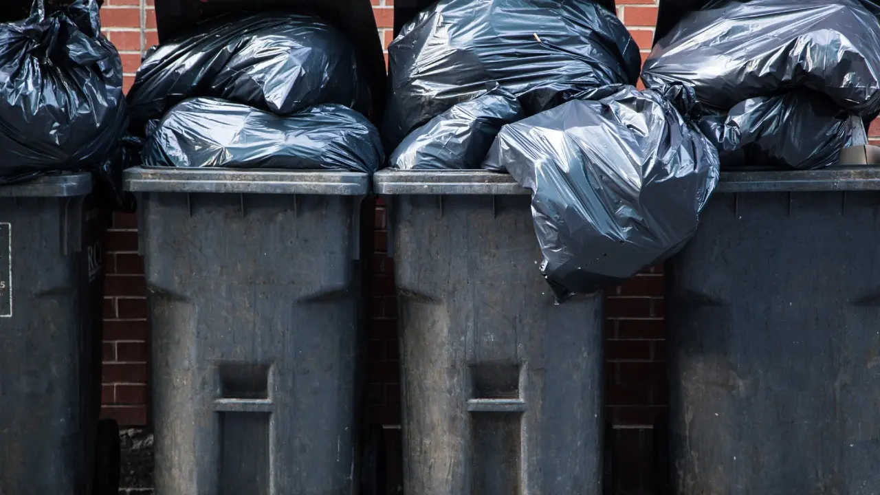 Фото: Depositphotos.com