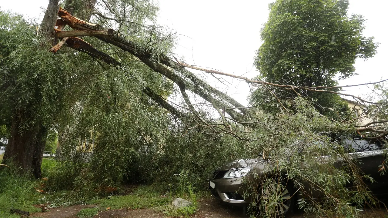 Фото Depositphotos.com