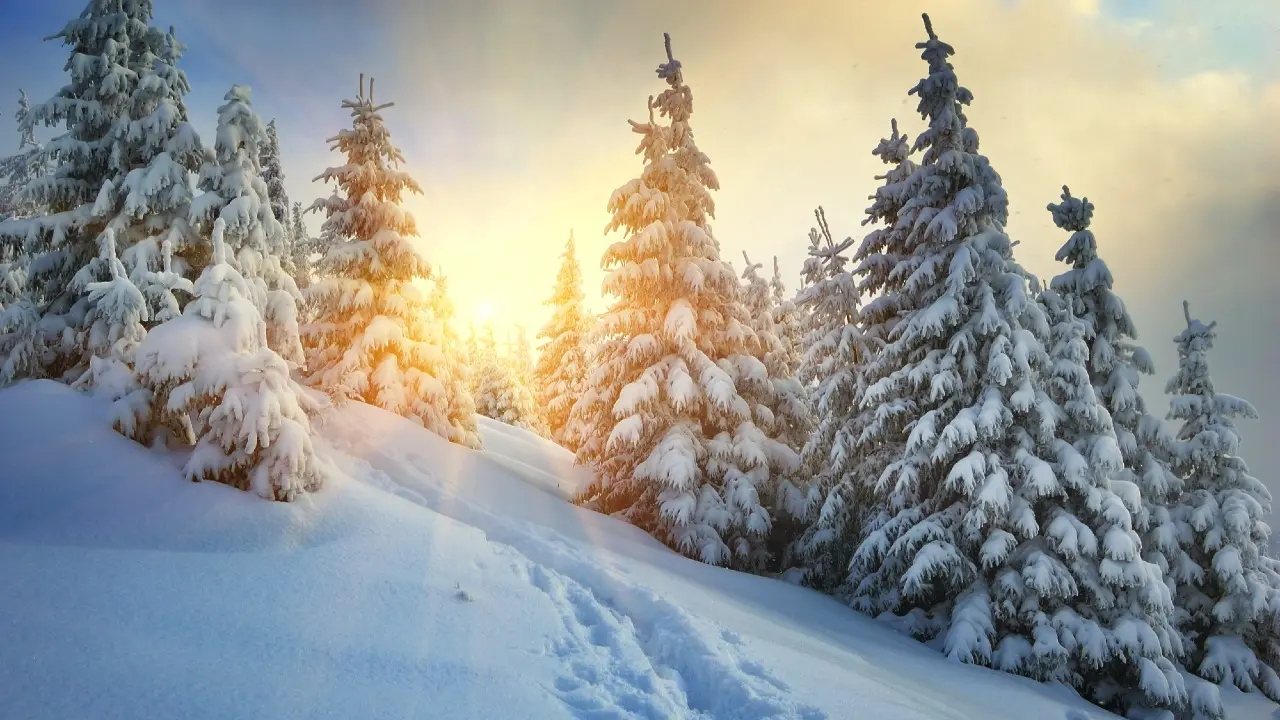 Фото Depositphotos.com