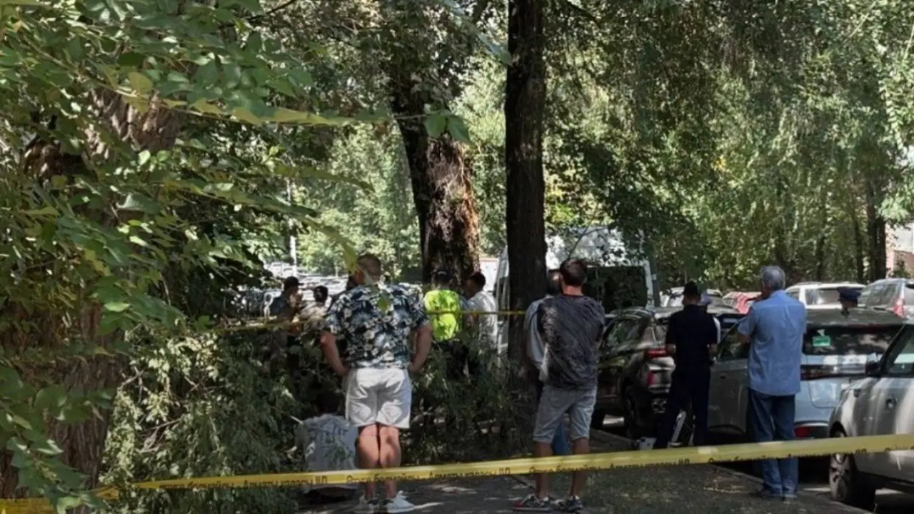 Фото instagram Almaty_News