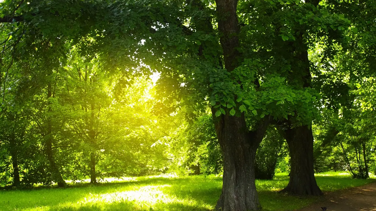 Фото Depositphotos.com