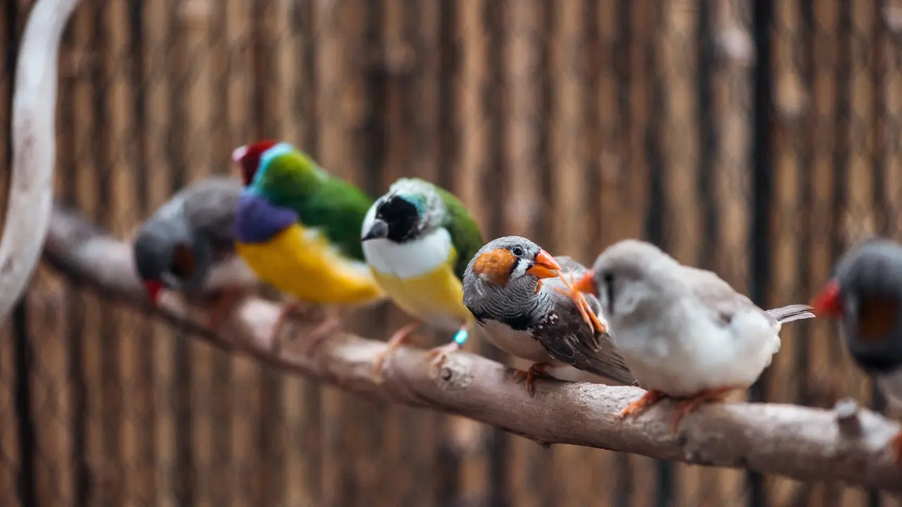 Фото Depositphotos.com