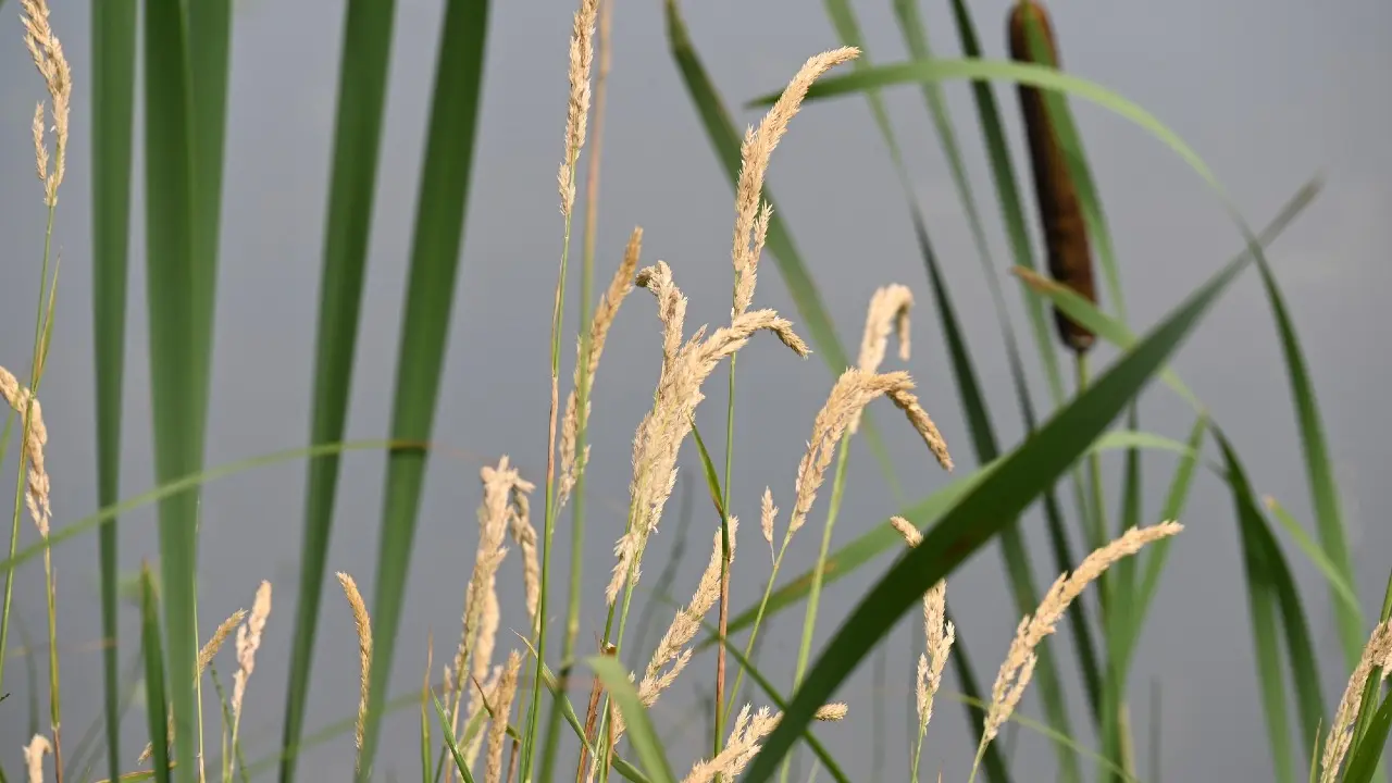 Фото Depositphotos.com