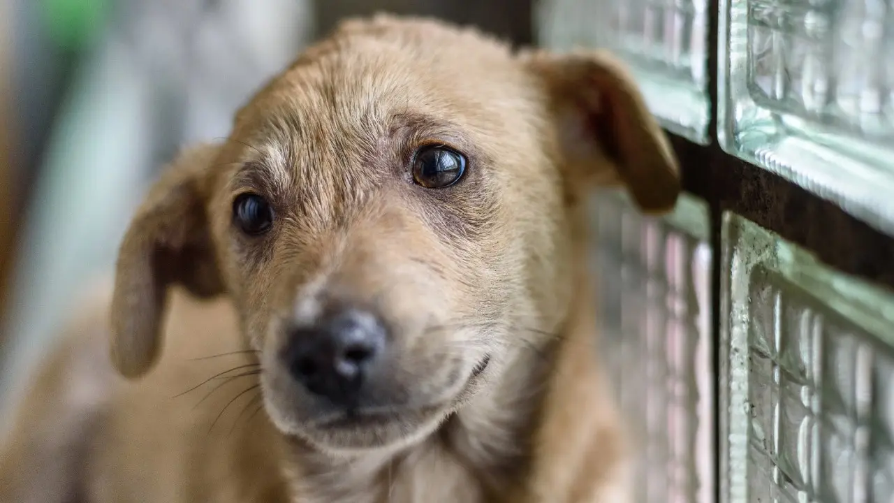 Фото Depositphotos.com