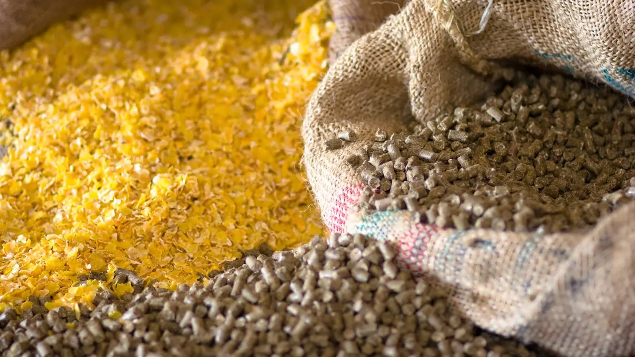 Фото Depositphotos.com