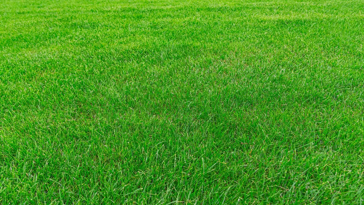 Фото Depositphotos.com