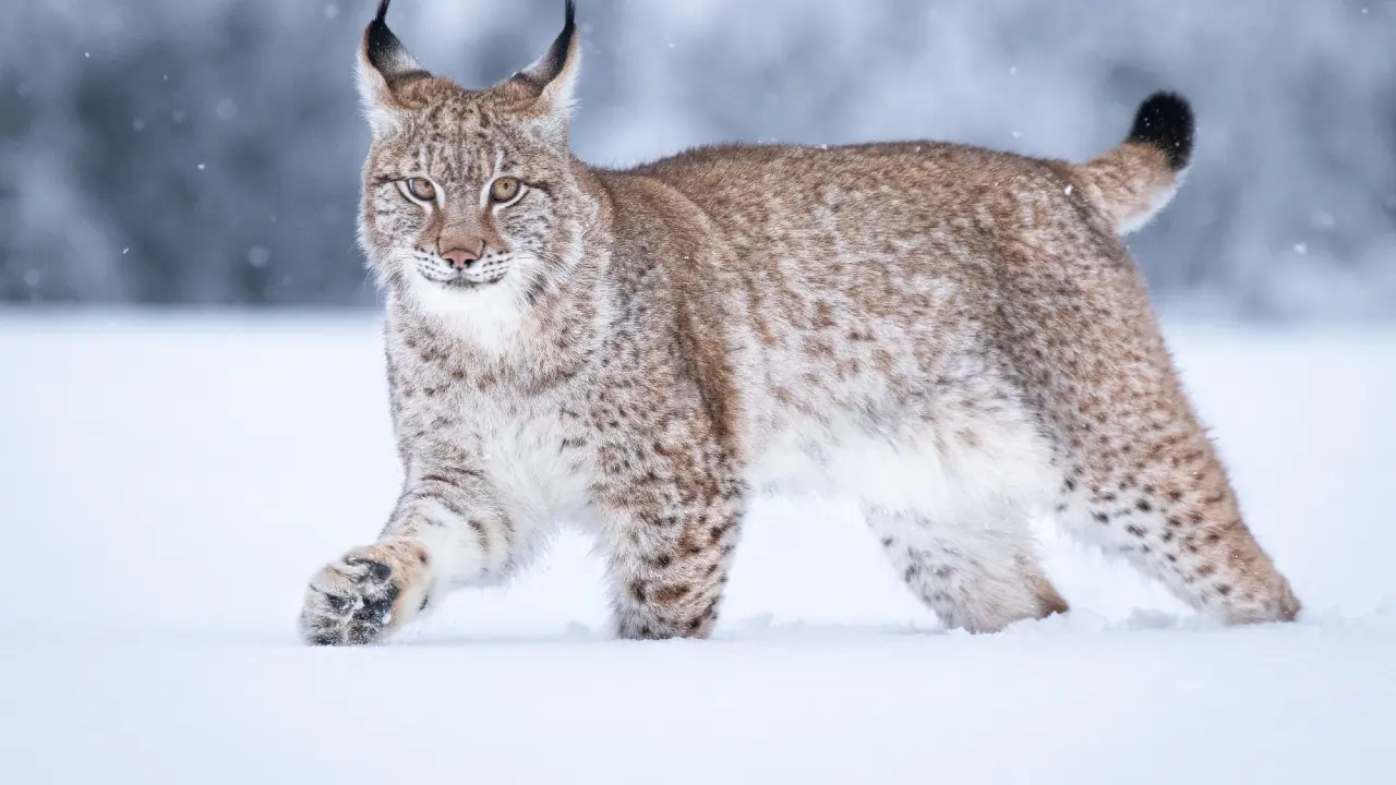 Фото Depositphotos.com