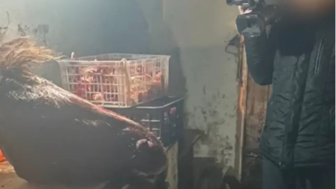 Скриншот из видео полиции Астаны