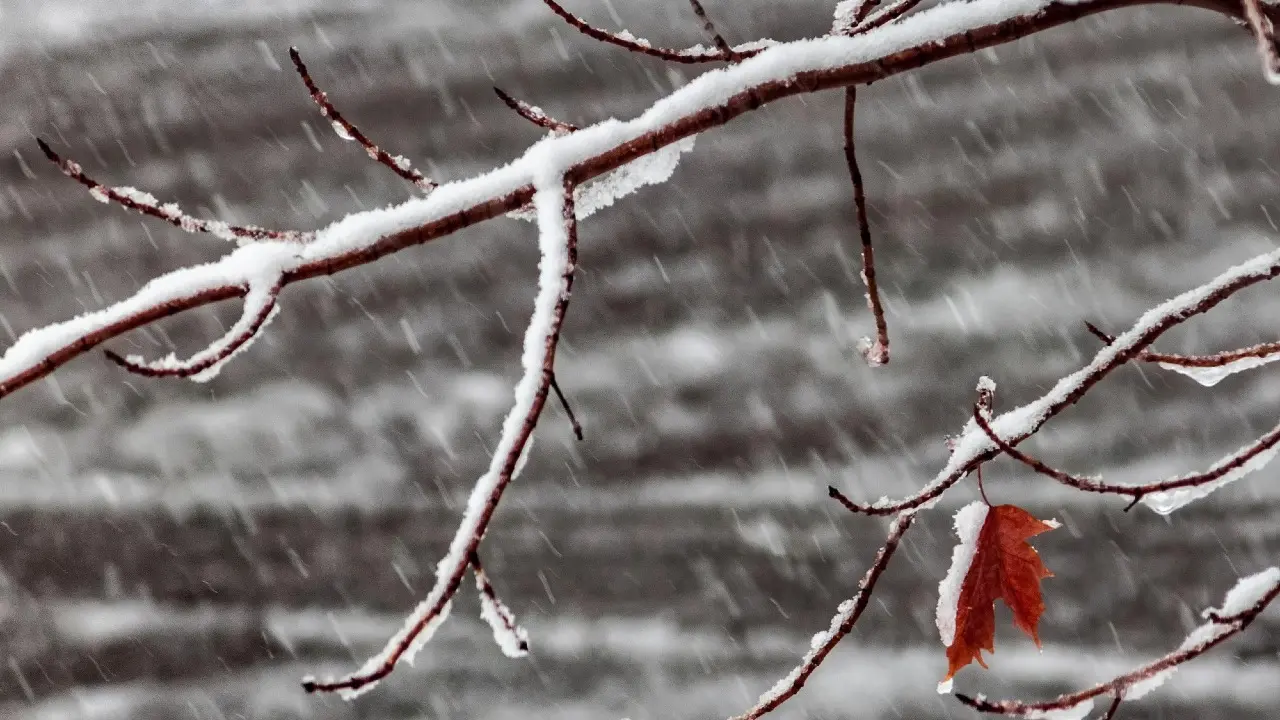 Фото Depositphotos.com