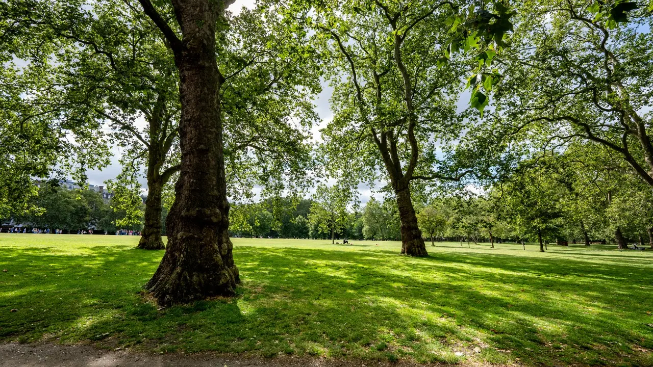 Фото Depositphotos.com