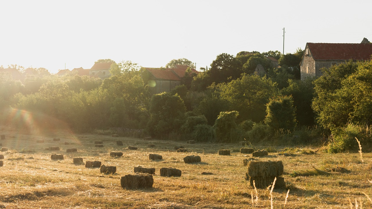 Фото Freepik.com