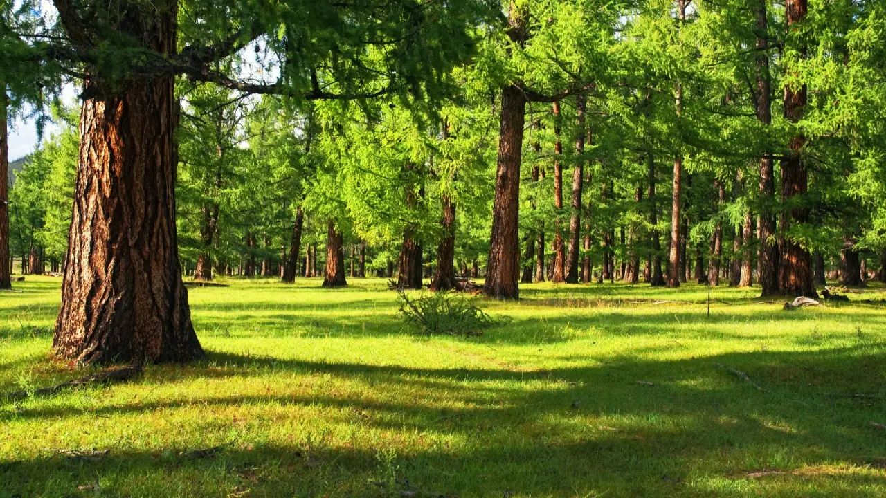 Фото Depositphotos.com