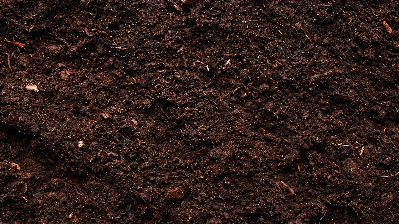 Фото Depositphotos.com