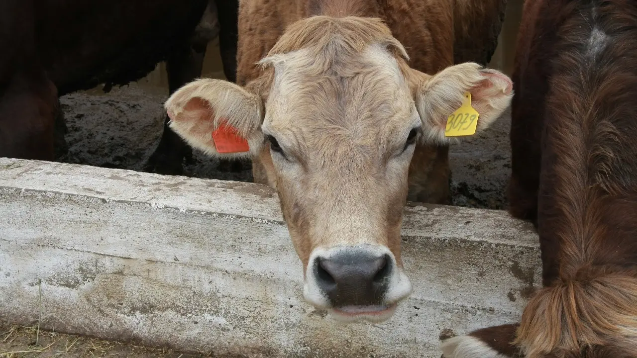 Фото Informburo.kz