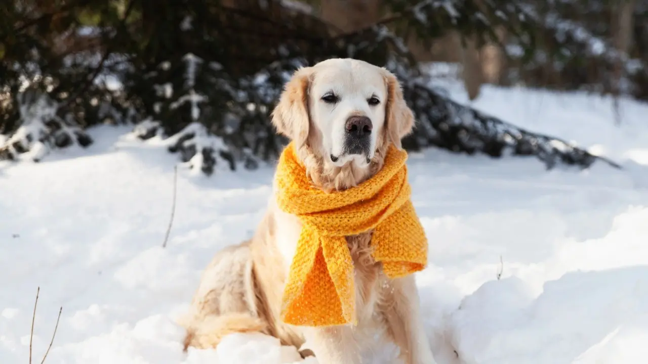 Фото Depositphotos.com