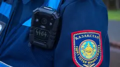 Новое управление полиции создадут в Казахстане