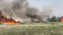 Пожар рядом с дачами тушат в Абайской области