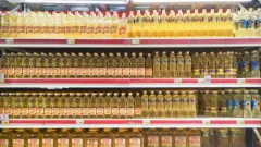 Предельные цены на подсолнечное масло установят в Казахстане до конца года
