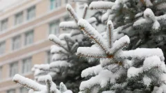 Снег, метель и гололёд: какая погода ждёт казахстанцев в ближайшие три дня