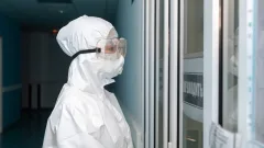 Вирус Нипах: санитарный контроль на границе усилили в Казахстане