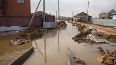 Жителей села в СКО эвакуируют из-за сильного подъёма воды в реке Есиль