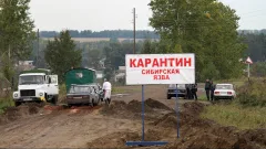 239 захоронений сибирской язвы не соответствуют требованиям безопасности в Казахстане