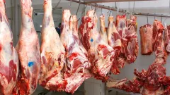 Минсельхоз опроверг информацию о продаже заражённого мяса на рынке в Астане