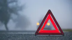 ДТП с участием экс-депутата Базарбека. Почему на трассе оказался скот, объяснили в КазАвтоЖоле