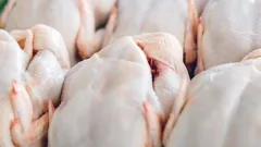 20 тонн мяса птицы пытались незаконно ввезти из России в Казахстан