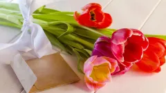 Получат ли жительницы Алматы выплаты к 8 марта