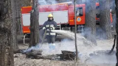 Лесной пожар в резервате "Семей орманы": Минэкологии проведёт служебное расследование