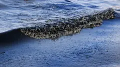 Утечка нефти произошла в Каспийском море