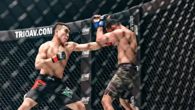 "Город готов, но дорого". Может ли турнир UFC пройти в Астане?