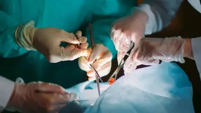 В Китае человеку впервые пересадили лёгкое свиньи