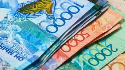 Из какого бюджета выделят деньги на работу Народного совета и вице-президента Казахстана