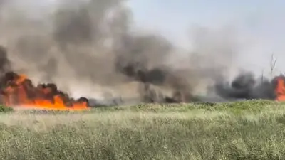 Пожар рядом с дачами тушат в Абайской области