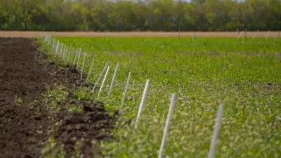 Ущерб на 320 млн тенге: сельхозземли незаконно переоформили под бизнес в Туркестанской области