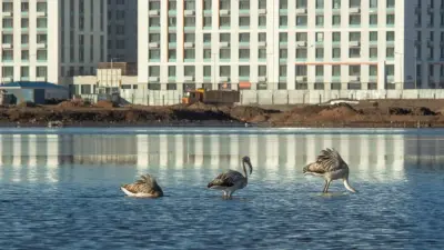 "Талдыколь должны сохранить". Будут ли застраивать озеро, ответил вице-премьер